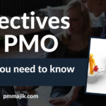 PMO Objectives