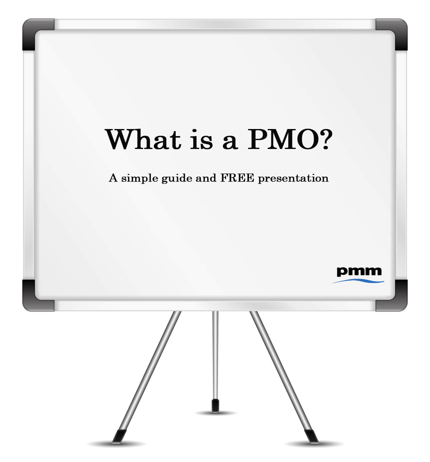 What is a project management office (PMO)?