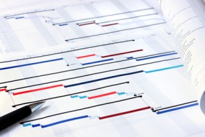 Project plan write up