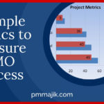 Using PMO metrics to measure success