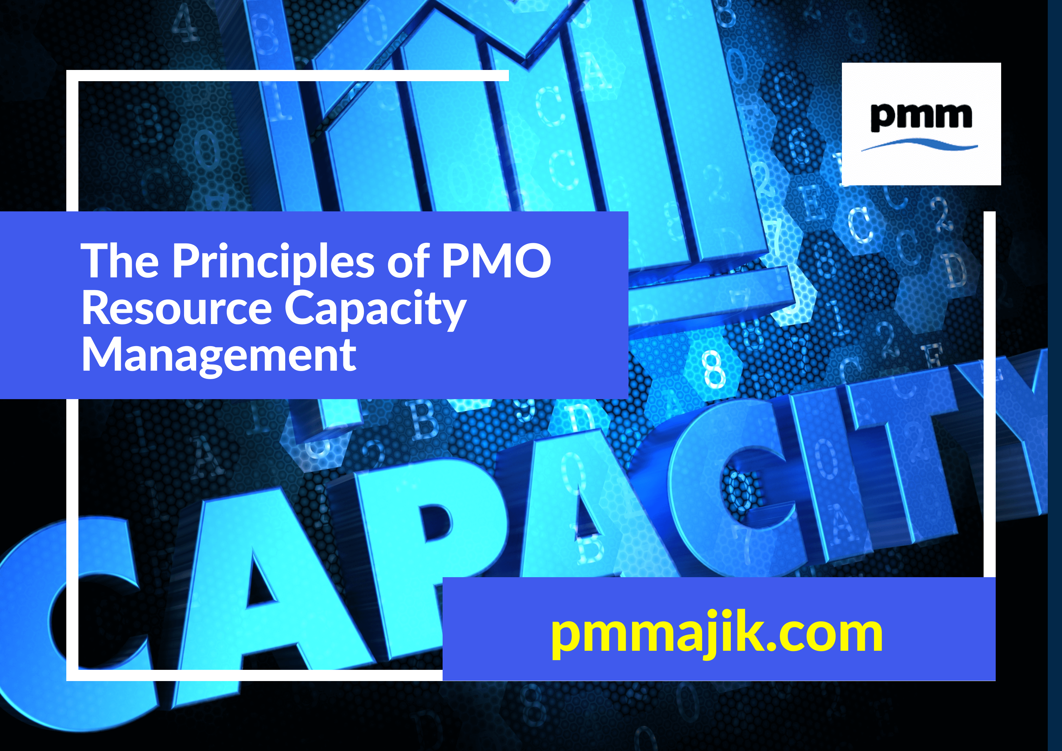 The Principles of PMO Resource Capacity Management