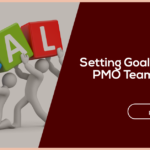 Setting PMO Team Member Goals