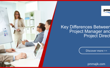 Project Manager V Project Director