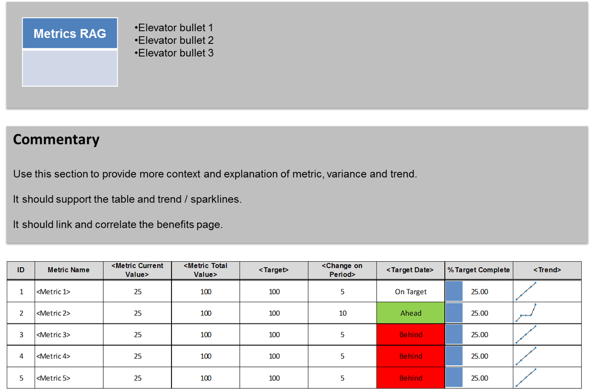 Metric SteerCo Template