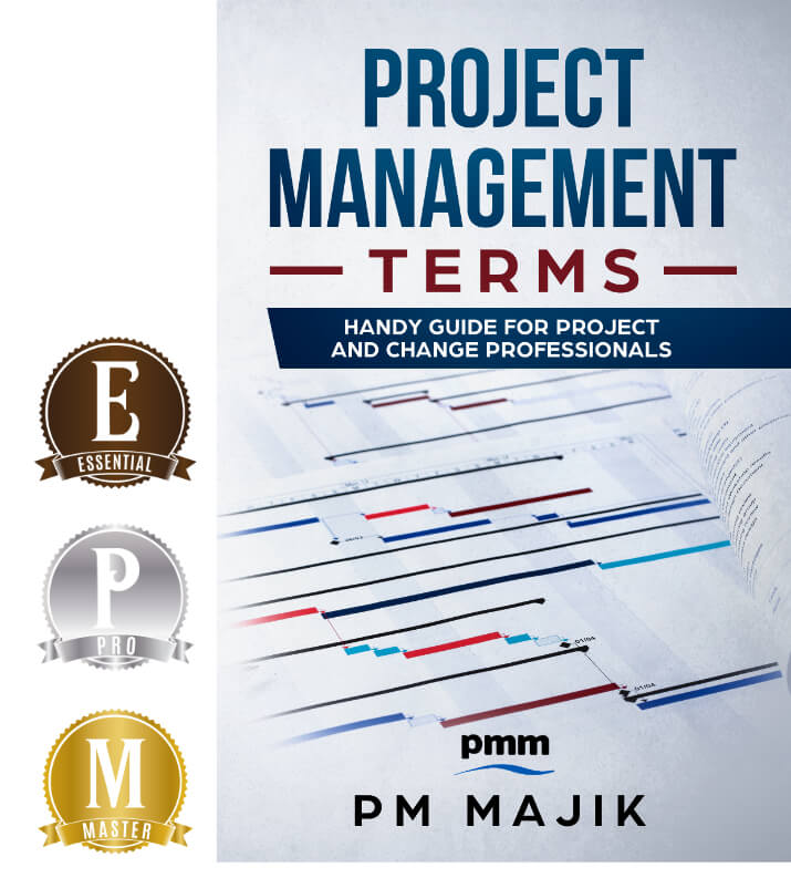 Project Management Terms ebook