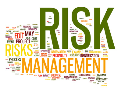 Project risk, issue and assumption management
