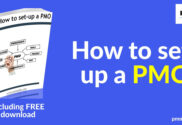 PMO Set-Up Guide