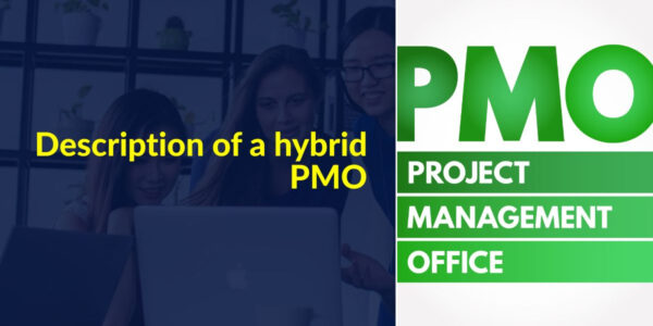 Description of a hybrid PMO