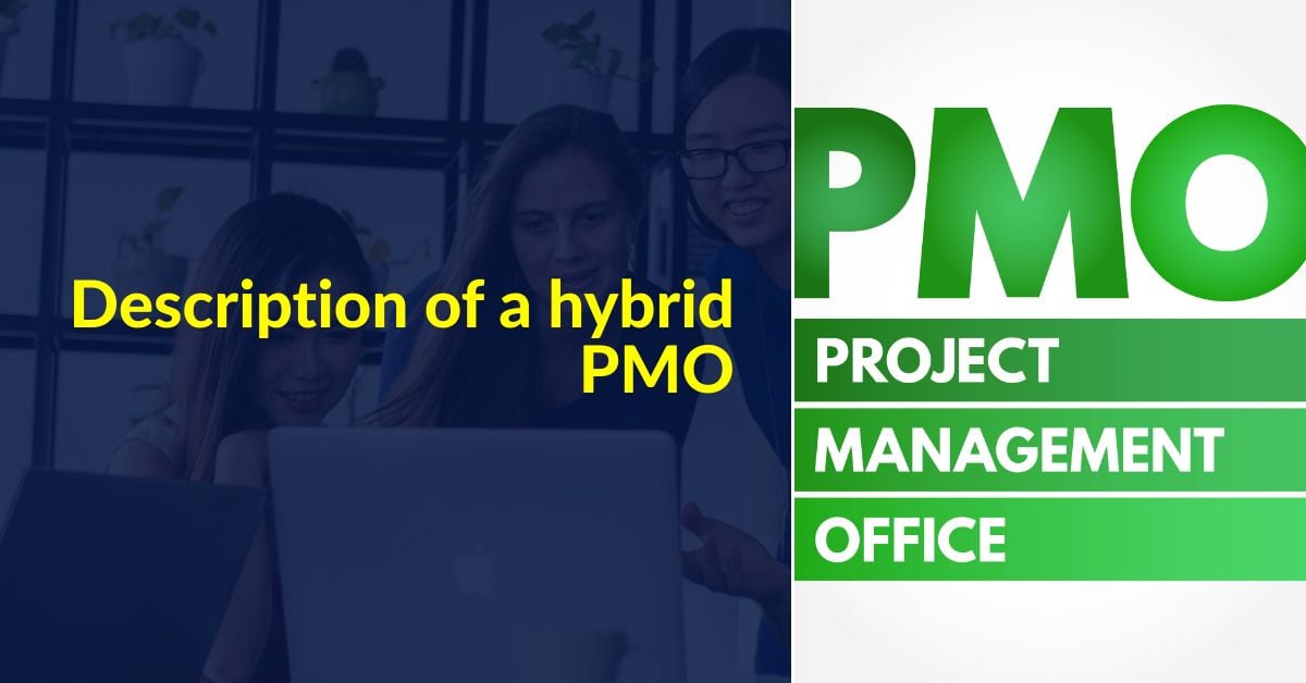 Description of a hybrid PMO