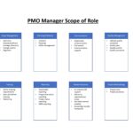 PMO Manager Scope