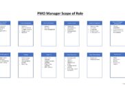 PMO Manager Scope
