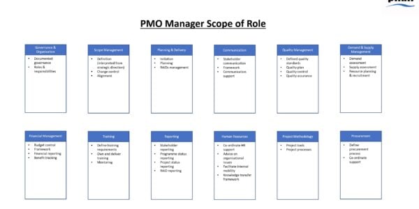 PMO Manager Scope