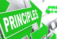 PMO Design Principles