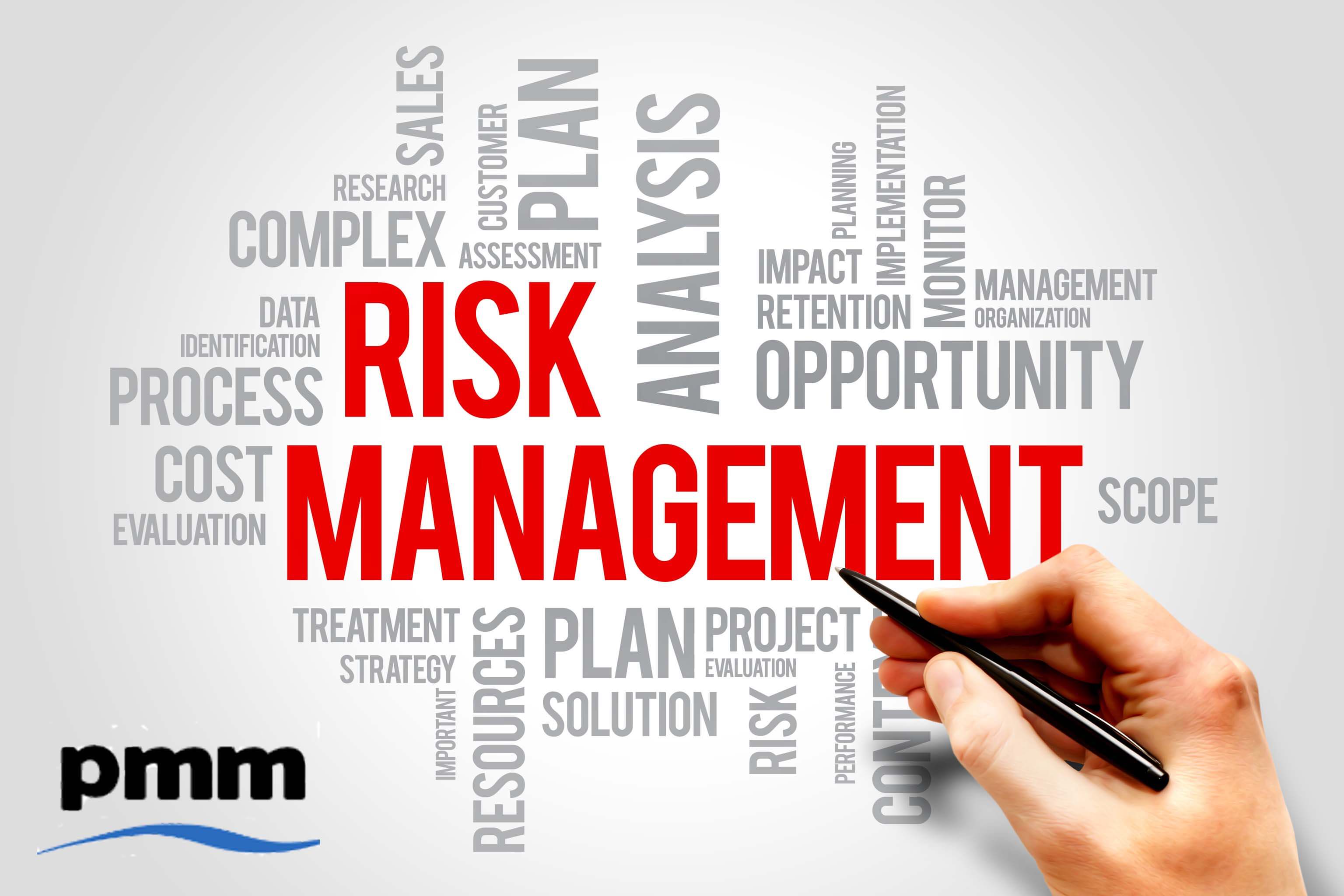 PMO risks and issues