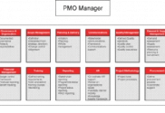 Diagram showing core PMO functions