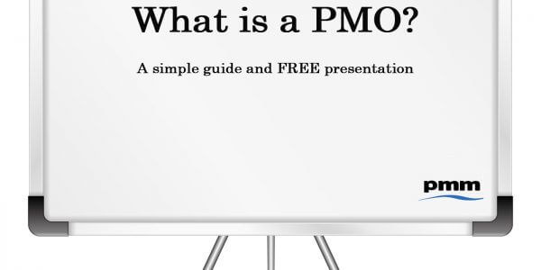 What is a project management office (PMO)?