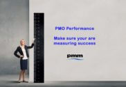 Professional measuring PMO success