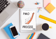 Embedding PMO process into BAU