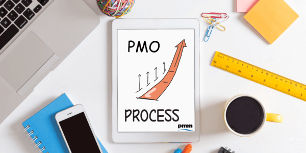 Embedding PMO process into BAU