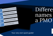 Different names for a project management office