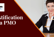 Person justifying need for PMO