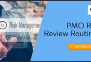 PMo risk review routines