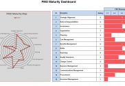 Example of PMO Maturity Dashboard