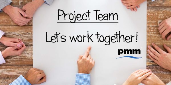 Project team working together