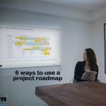 Using a project roadmap to review status