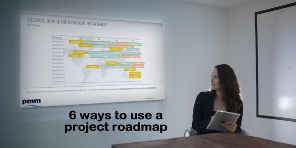 Using a project roadmap to review status