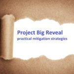 How you can avoid the risk of the "Project Big Reveal"!