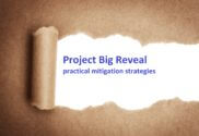 Revealing a project delivery