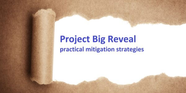How you can avoid the risk of the "Project Big Reveal"!