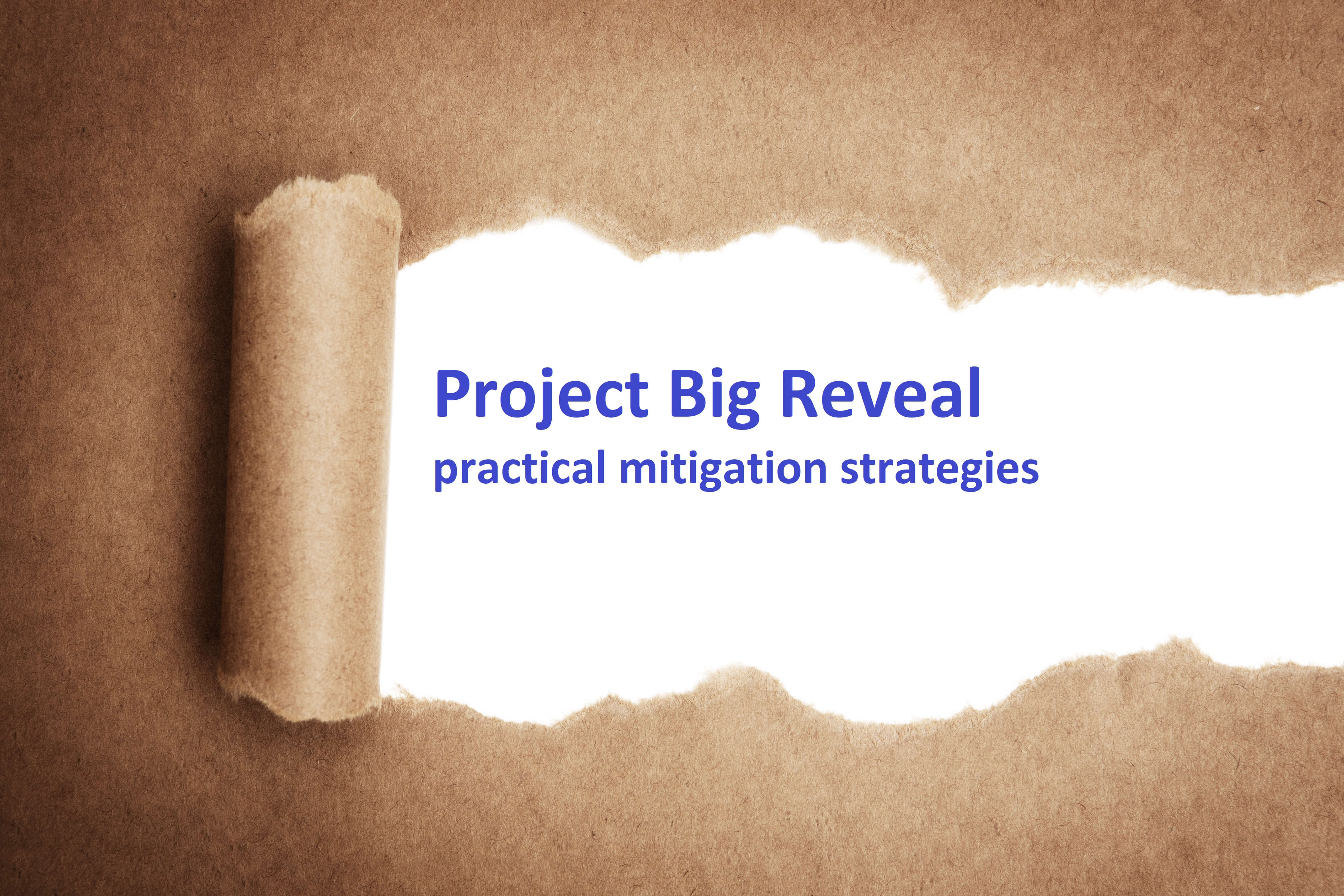 How you can avoid the risk of the “Project Big Reveal”!