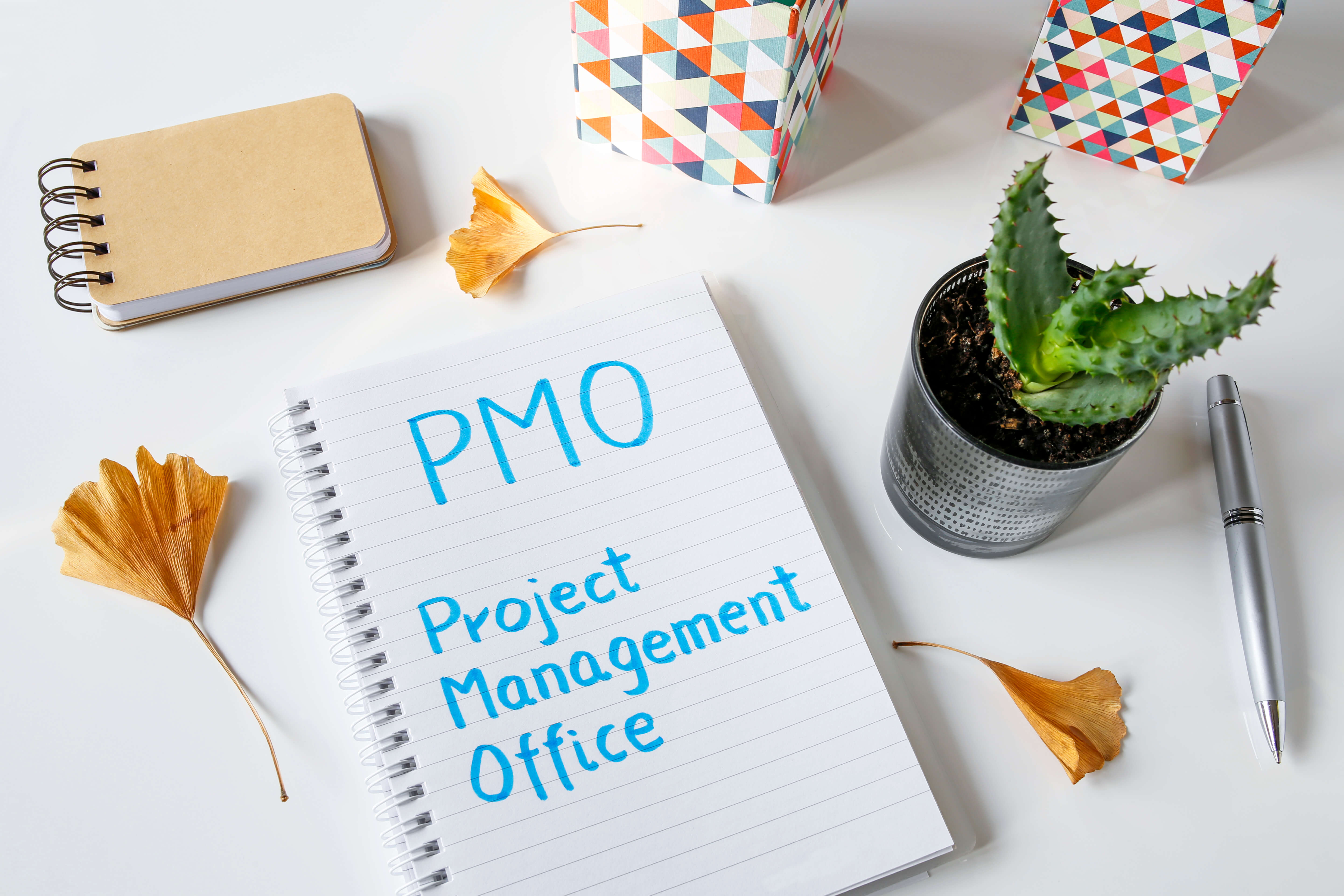 Considerations for types of PMO
