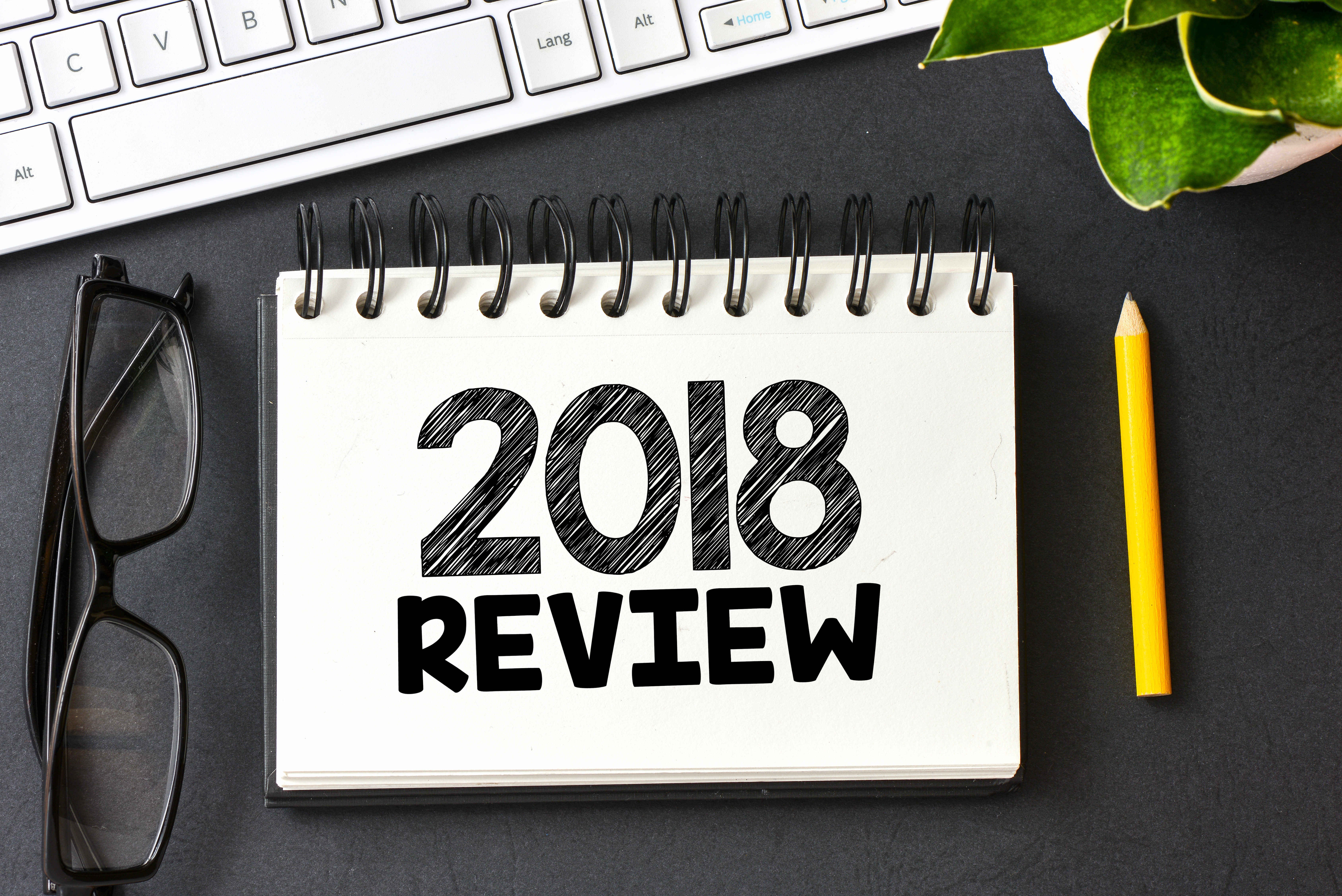 2018 review