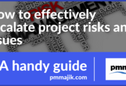 How to effectively escalate project risks and issues