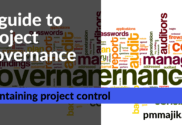 Project governance guide