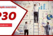 Overview of P3O Process