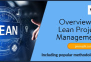 Overview of lean project management