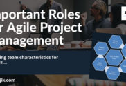 Example of agile project management roles