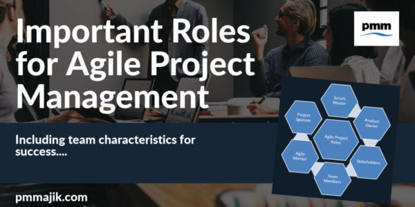 Overview of Agile Project Management Roles