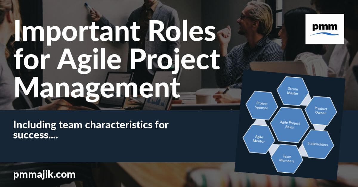 Example of agile project management roles