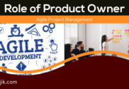 The role of the product owner in agile project management