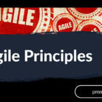 12 Agile Principles