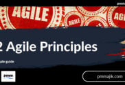 The 12 Agile Principles