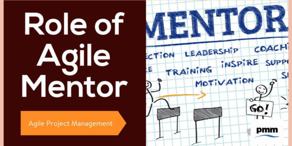Role of Agile Mentor