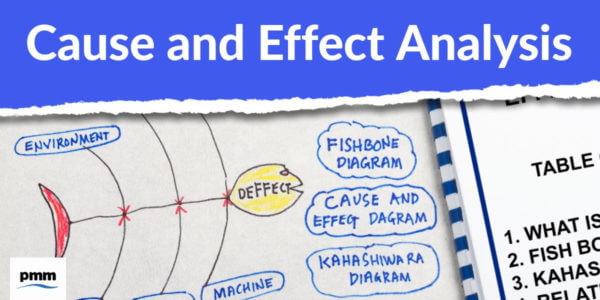 Analysis Tools: Effect and Cause Analysis