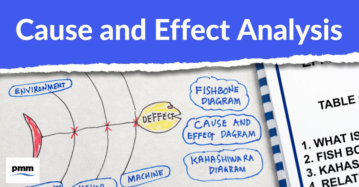 Analysis Tools: Effect and Cause Analysis