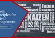 Kaizen Principles